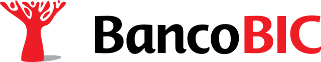 Parceiro 3